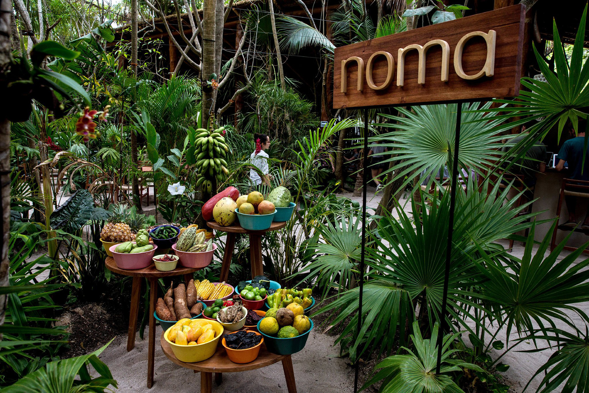 bælte junk Nu Noma Copenhagen pop-up restaurant in Mexico | PopUppens